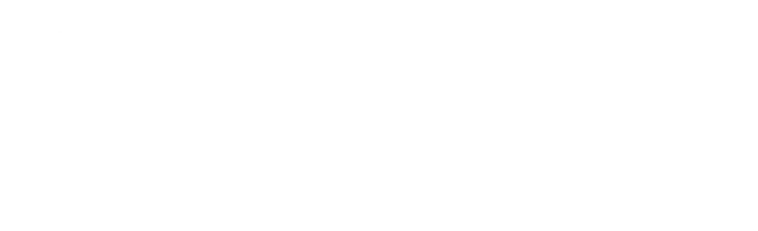 Australia's Building Inspectors